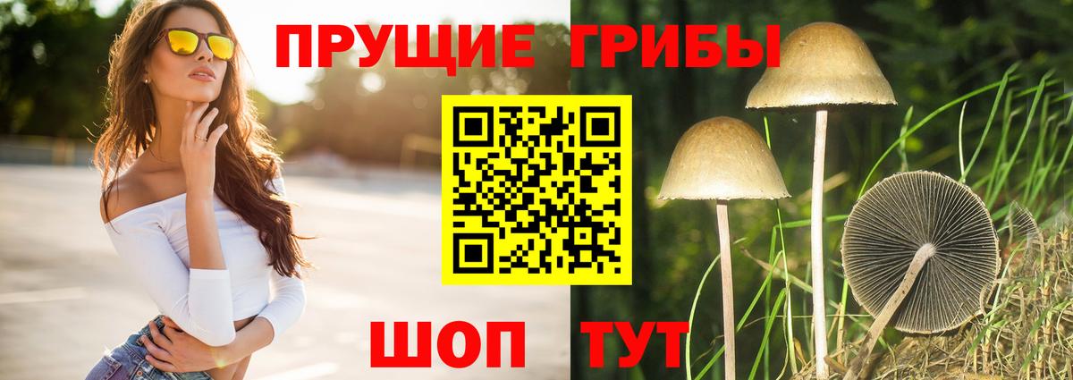 Галлюциногенные грибы прущие грибы Белово