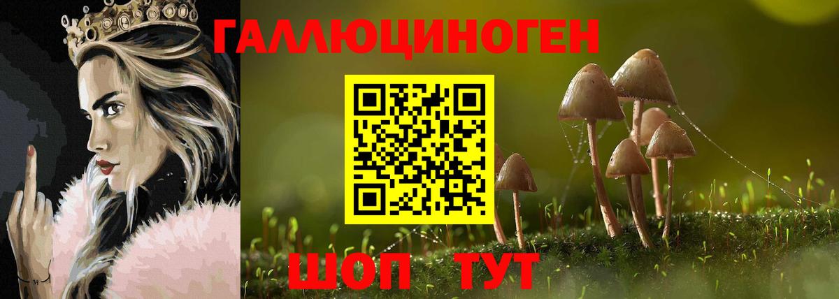 Псилоцибиновые грибы Psilocybe  Вход с VPN  Белово  Псилоцибиновые грибы MAGIC MUSHROOMS 